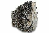 Sphalerite and Calcite On Galena - Pine Point Mine, Canada #261953-1
